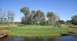 View onto the green of a Gilbert area golf course.