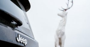 2015 Jeep Renegade by a stag statue.